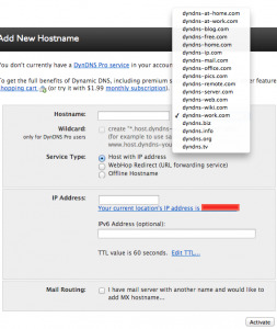 DynDNS Host Form